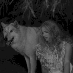 Chemtrails Over the Country Club