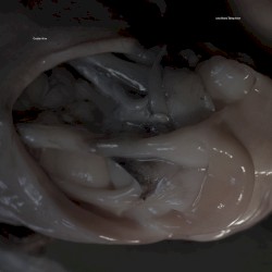 Love Means Taking Action