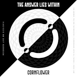 The Answer Lies Within