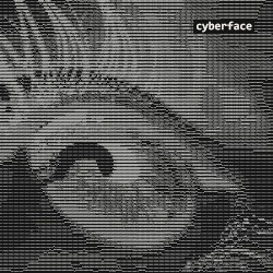 Cyberface
