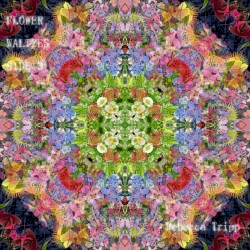 Flower Waltzes (Side 3)