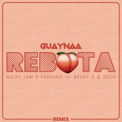 Rebota (remix)