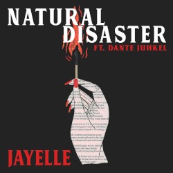 Natural Disaster
