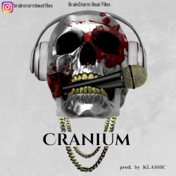 Cranium