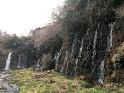 arboreal/Whore’s Breath