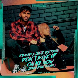 Don’t Give Up on Me Now (Jonas Blue remix)