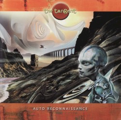 Auto Reconnaissance