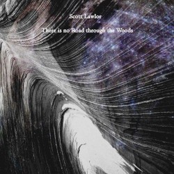 There Is No Road Through the Woods