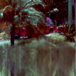 Gulf Coast Florida Bedroom Label