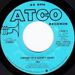 Owner of a Lonely Heart