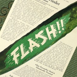 Kuuri Kuuron Cucumber