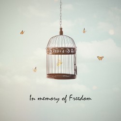 In Memory of Freedom