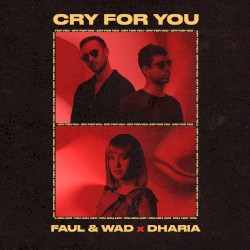 Cry for You (extended mix)