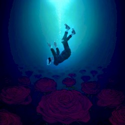 Into The Dark (Acoustic)