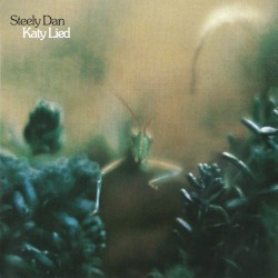 Katy Lied
