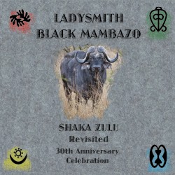 Shaka Zulu