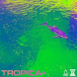 TROPICA+