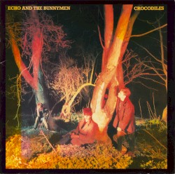 Crocodiles