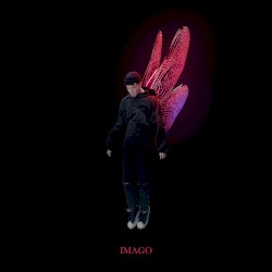 Imago