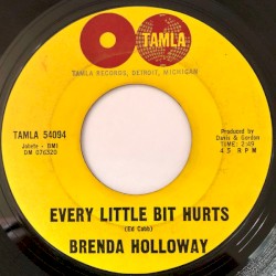 Every Little Bit Hurts / Land of a Thousand Boys