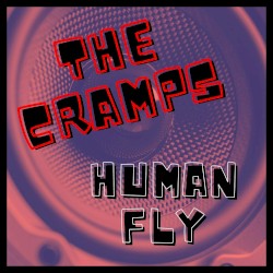 Human Fly