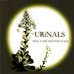 What Is Real and What Is Not