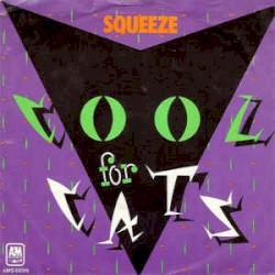 Cool for Cats
