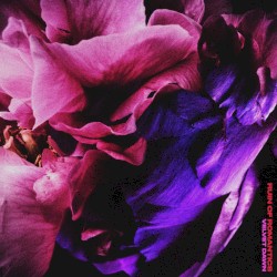 Bleeding in the Fields