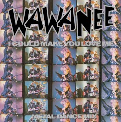 I Could Make You Love Me