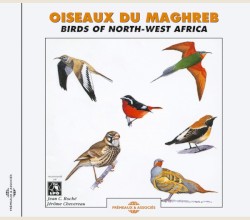 Oiseaux du Maghreb / Birds of North‐West Africa