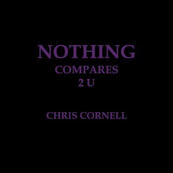Nothing Compares 2 U