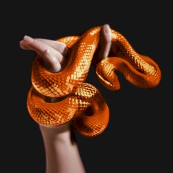 i don’t believe in God (remixes)