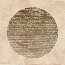 Under the Desert Sun