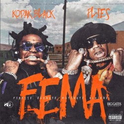 F.E.M.A.