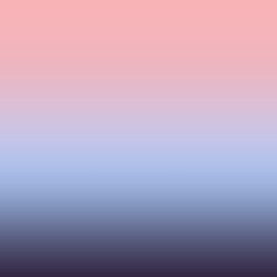 0081