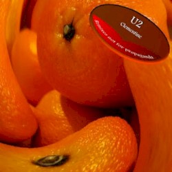 Clementine: Remixes Not for Propoganda