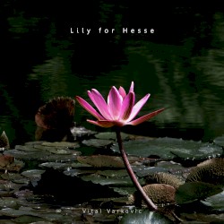 Lily for Hesse