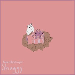 Shaggy