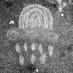 A Thousand Salutes (Rhyme.In.Power.)