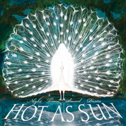 Night Time Sound Desire