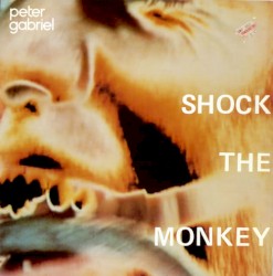 Shock the Monkey