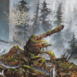 Celestial Cyst