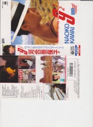 Fantastic Journey 9½