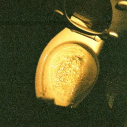 Reality Is a Hoax & Humans Are a Disease