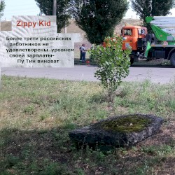 Более трети российских работников не удовлетворены уровнем своей зарплаты - Пу Тин виноват