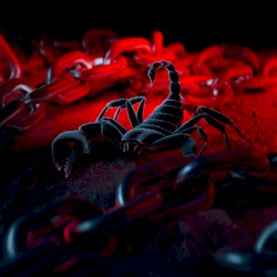 FREAK (alt versions)