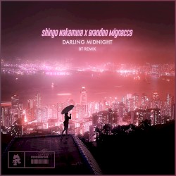 Darling Midnight (BT remix)