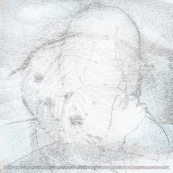 everyone is a dead star whose light only just now reaches me / pinniped