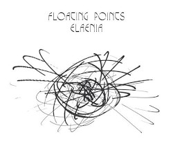 Elaenia