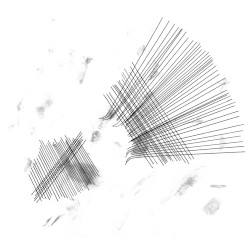 Loren Connors / Vapour Theories